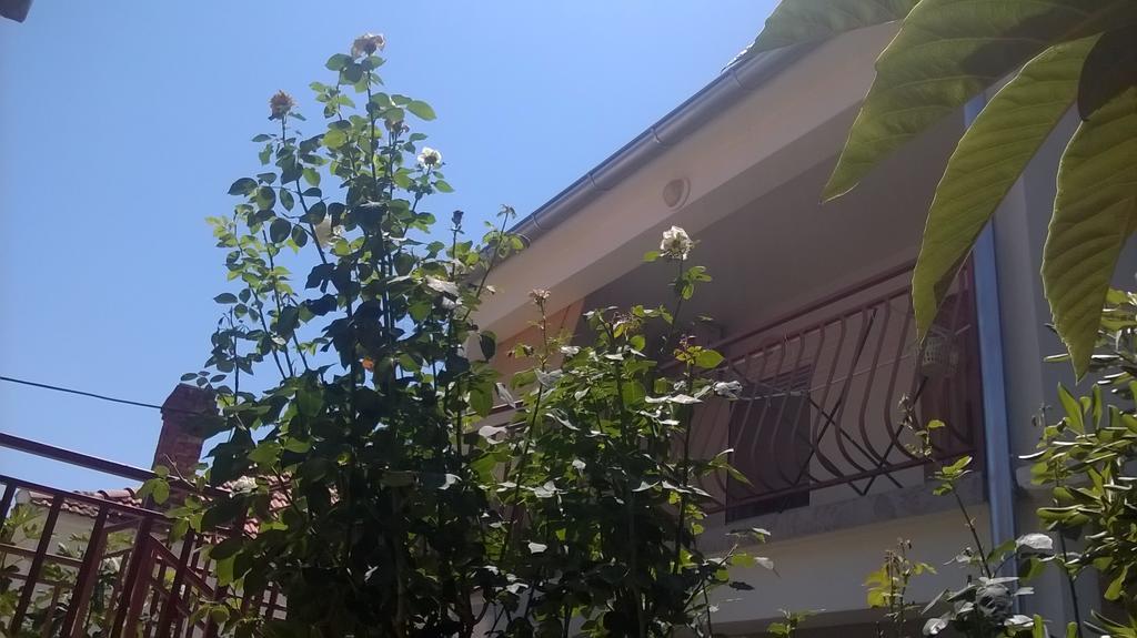 Apartment Cvita Биоград на Мору Стая снимка